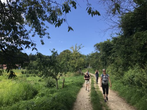 Wandern im Nürnberger Land - herrlich