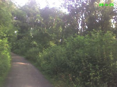 Foto_062508_001.jpg